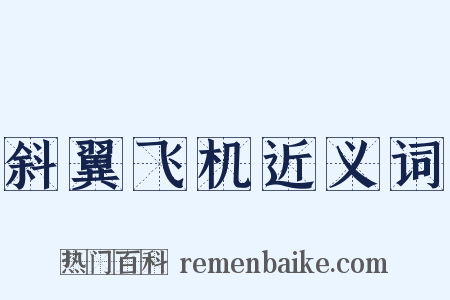 斜翼飞机近义词是什么意思的图片